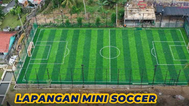 Biaya Pembuatan Lapangan Mini Soccer