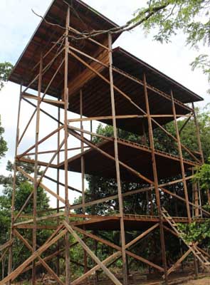 kontruksi rumah walet dari kayu